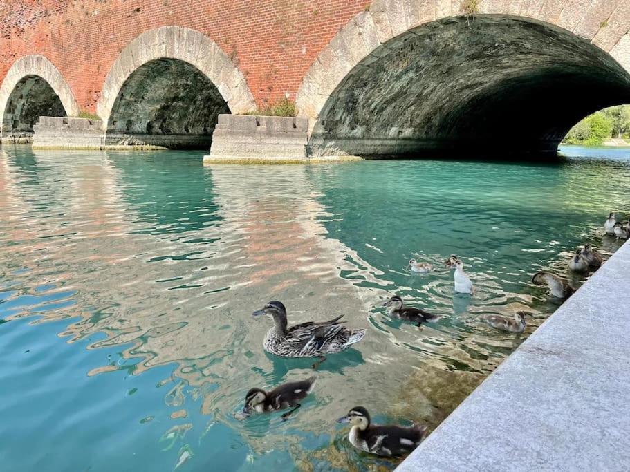 Casa Olympia - By Tourquoisevea Appartamento Peschiera del Garda